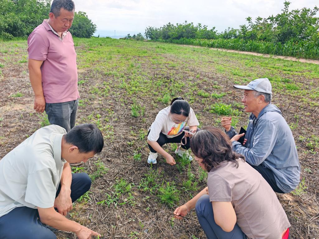 例如本次调研是继星空app官网登录入